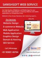 Sanishsoft Website Design Company Ashok Nager Chennai